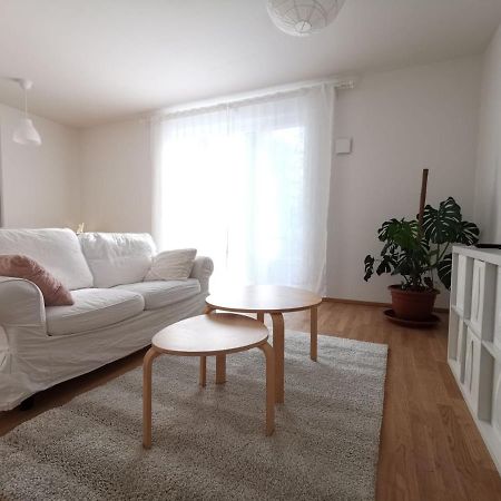 Gemuetliches Privatzimmer In Geraeumiger Gemeinschaftswohnung Dresden Exterior foto