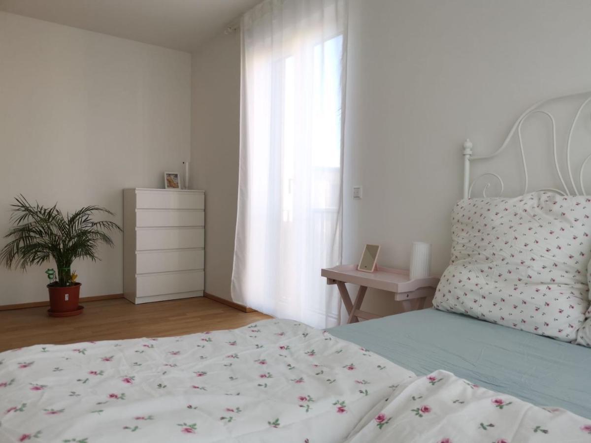 Gemuetliches Privatzimmer In Geraeumiger Gemeinschaftswohnung Dresden Exterior foto